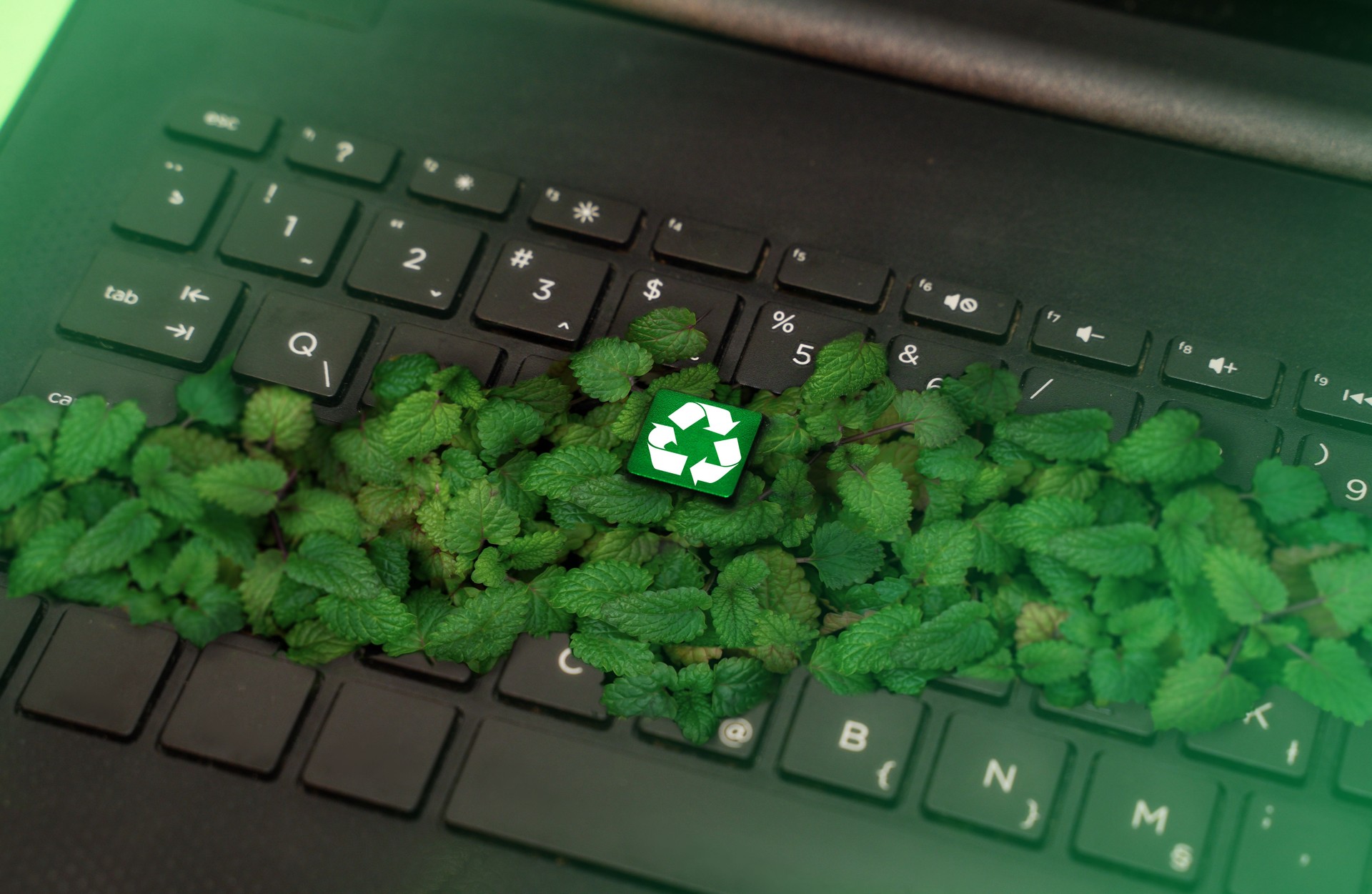 Recycling symbol on keyboard surrounded with green leaves, ecology and e waste concept